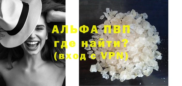 гашик Няндома