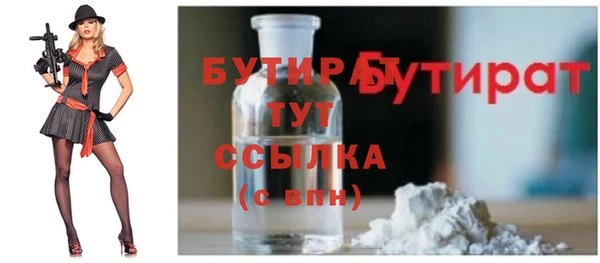 гашик Няндома
