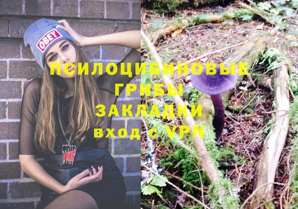 гашик Абдулино