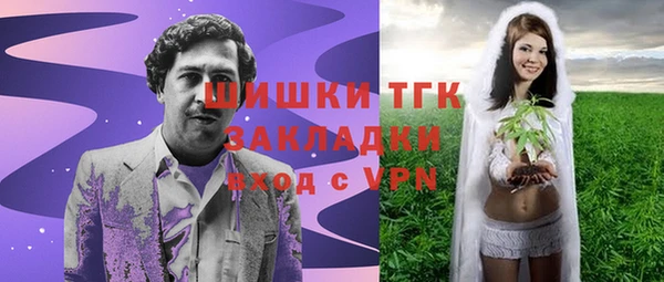 гашик Няндома