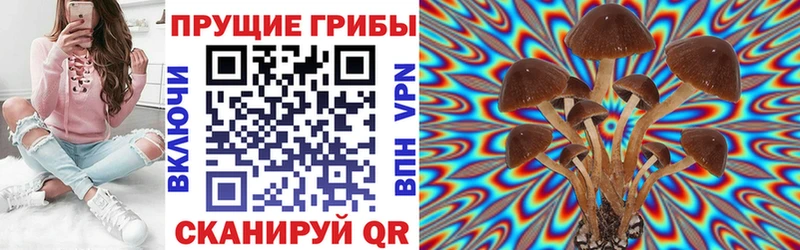 blacksprut онион  как найти   Тетюши  Галлюциногенные грибы MAGIC MUSHROOMS 
